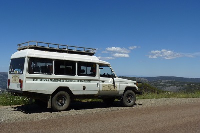 Fire Recovery East Gippsland Blog