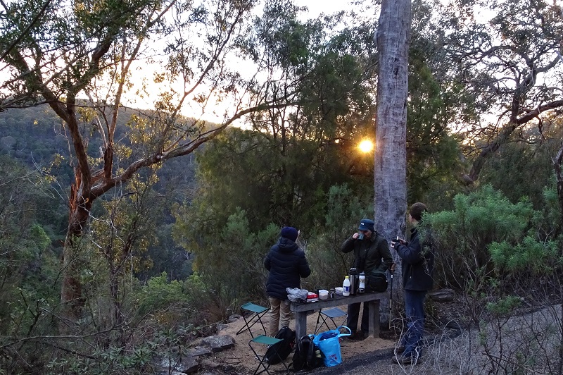 Nature sounds and birdsong