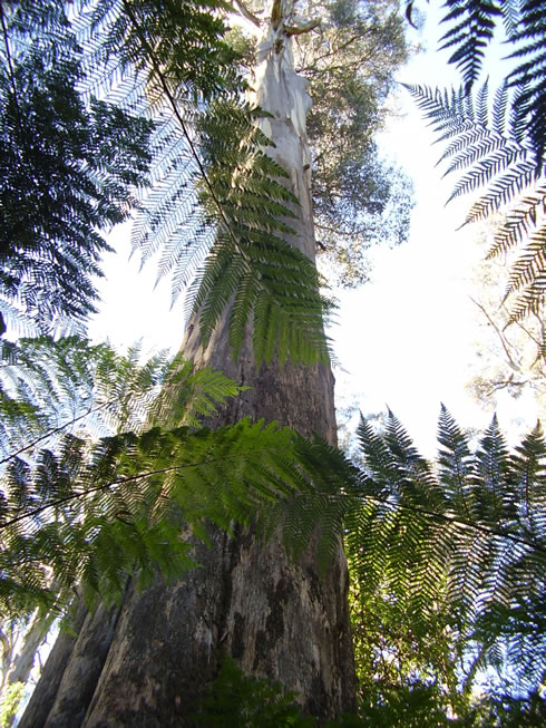 Frequently Asked Questions   490